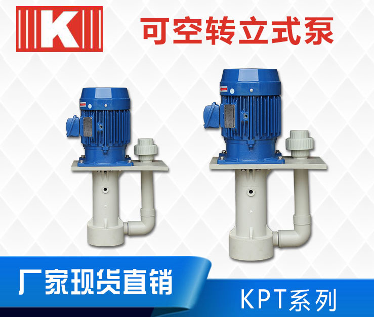 KPT槽内立式泵